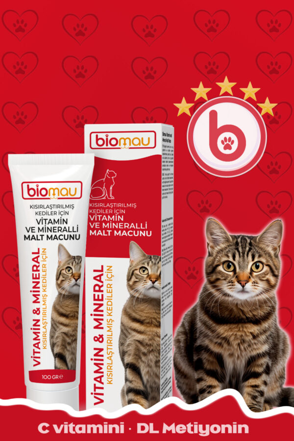 Kısır Kediler İçin Multivitaminli Malt Macunu – 100g | Steril Paste