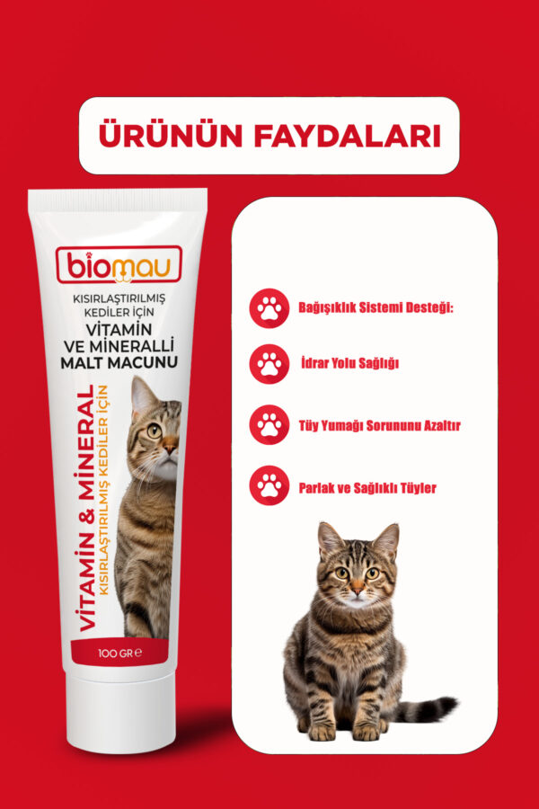 Kısır Kediler İçin Multivitaminli Malt Macunu – 100g | Steril Paste - Görsel 2